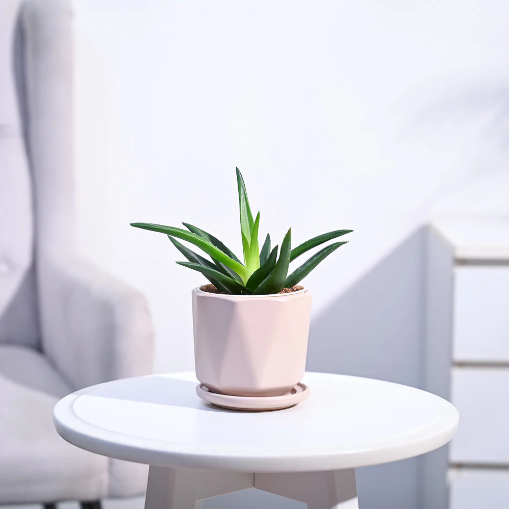 Product image 121
