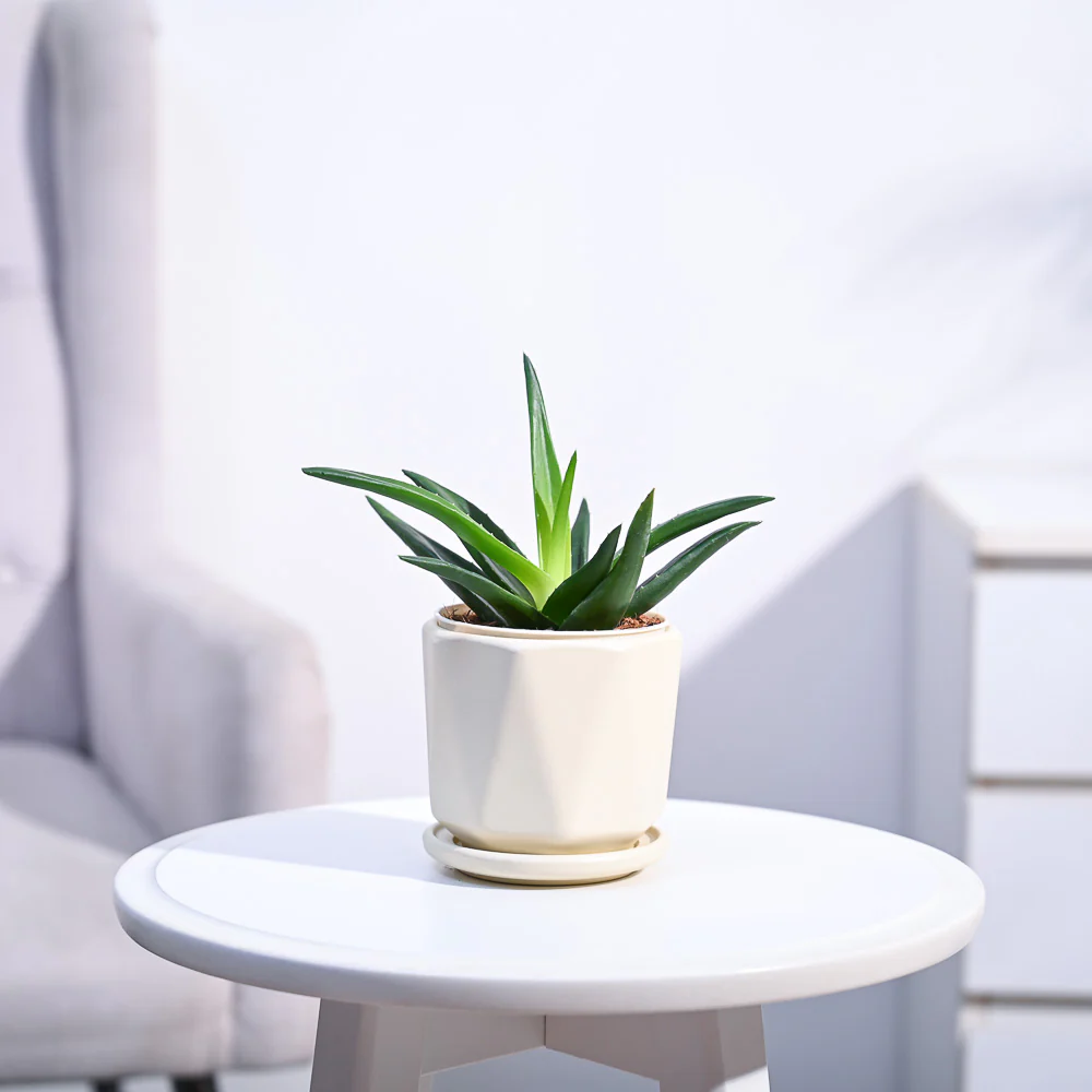 Product image 126