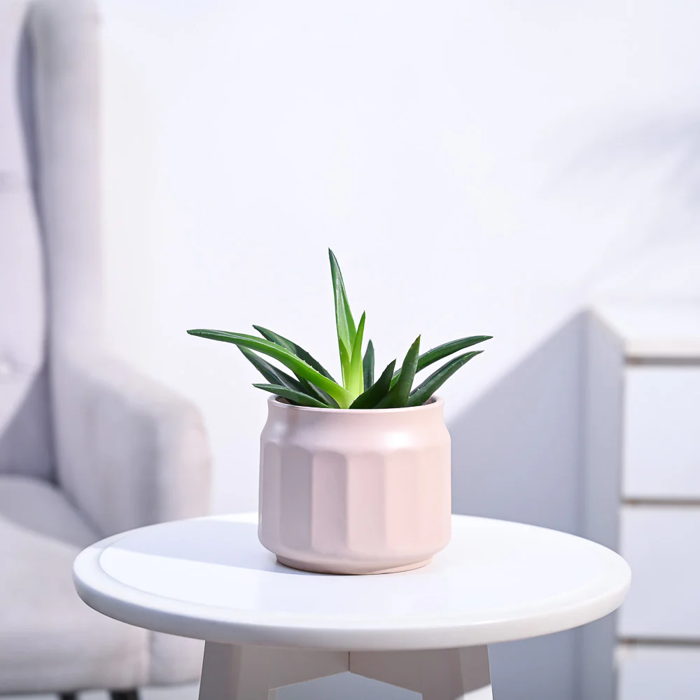 Product image 146