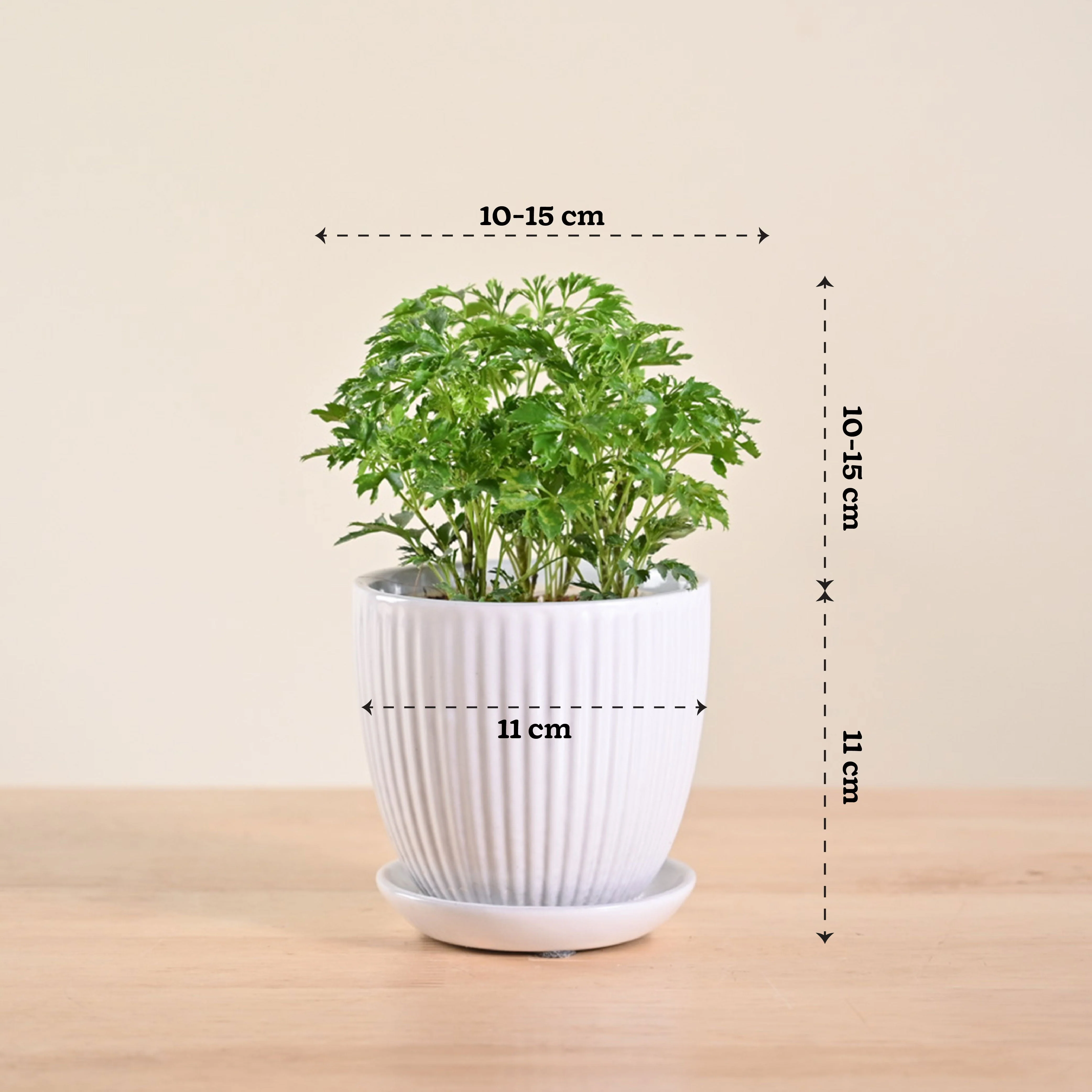 Product image 107
