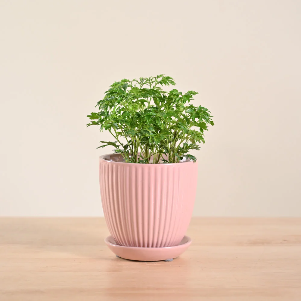 Product image 108