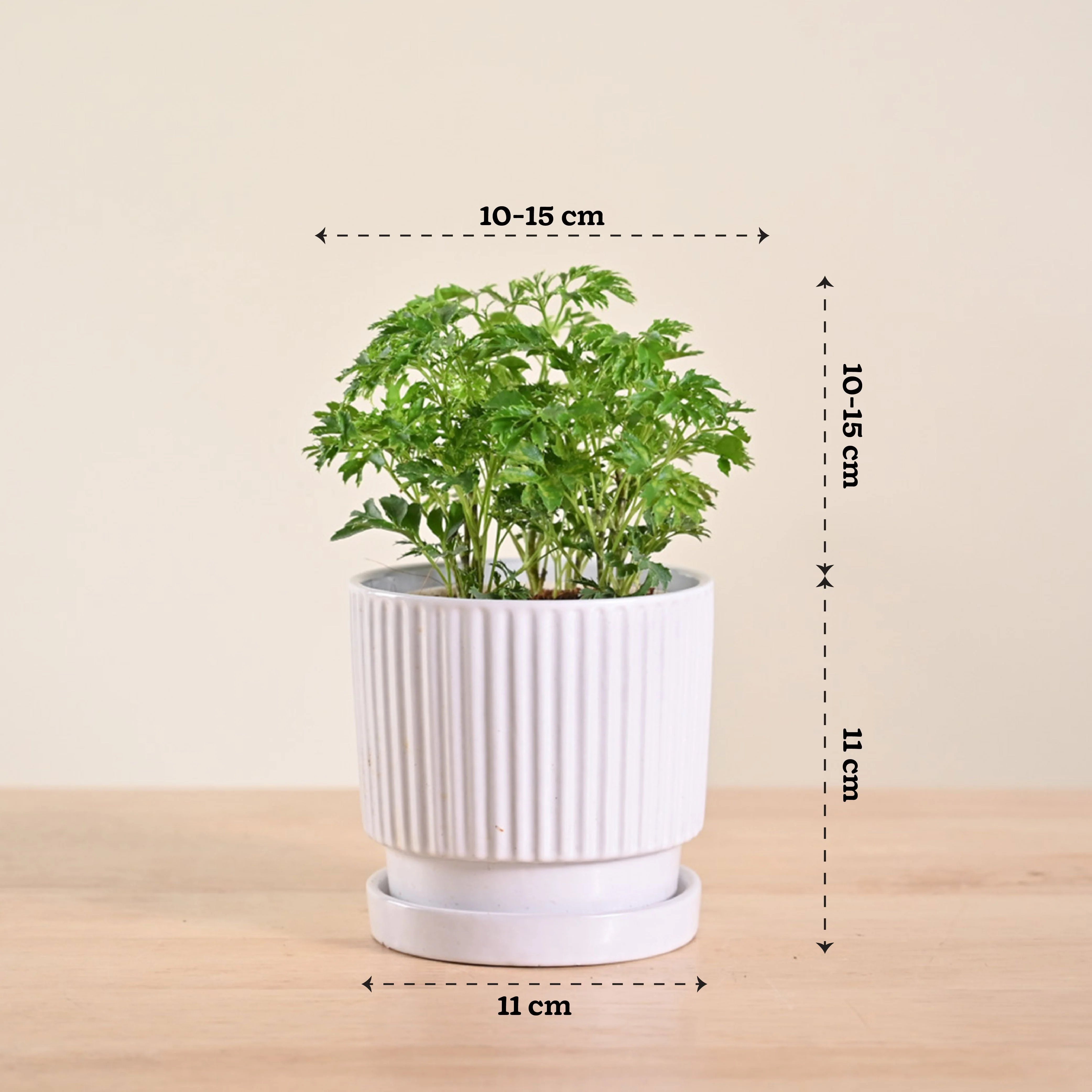 Product image 119