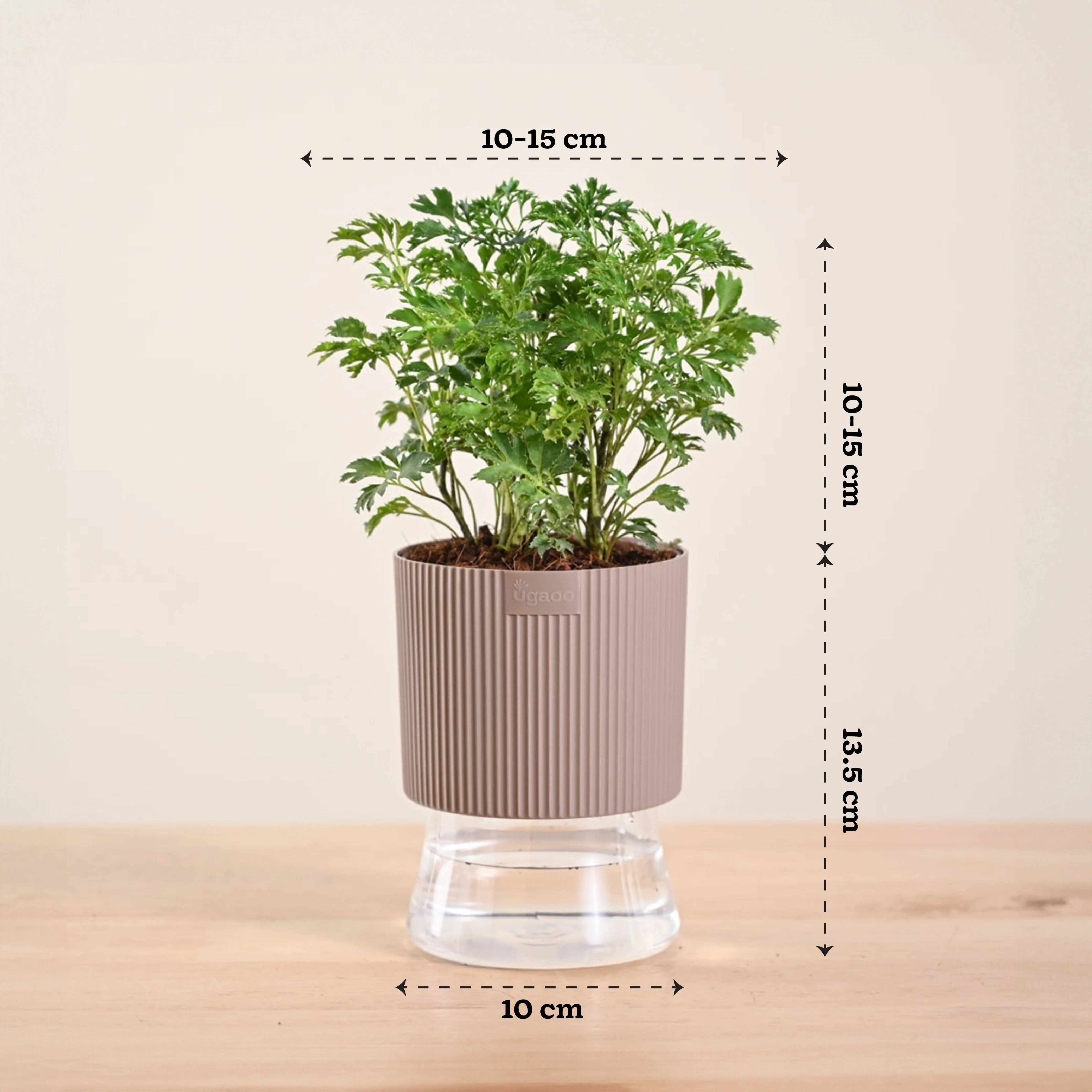 Product image 127
