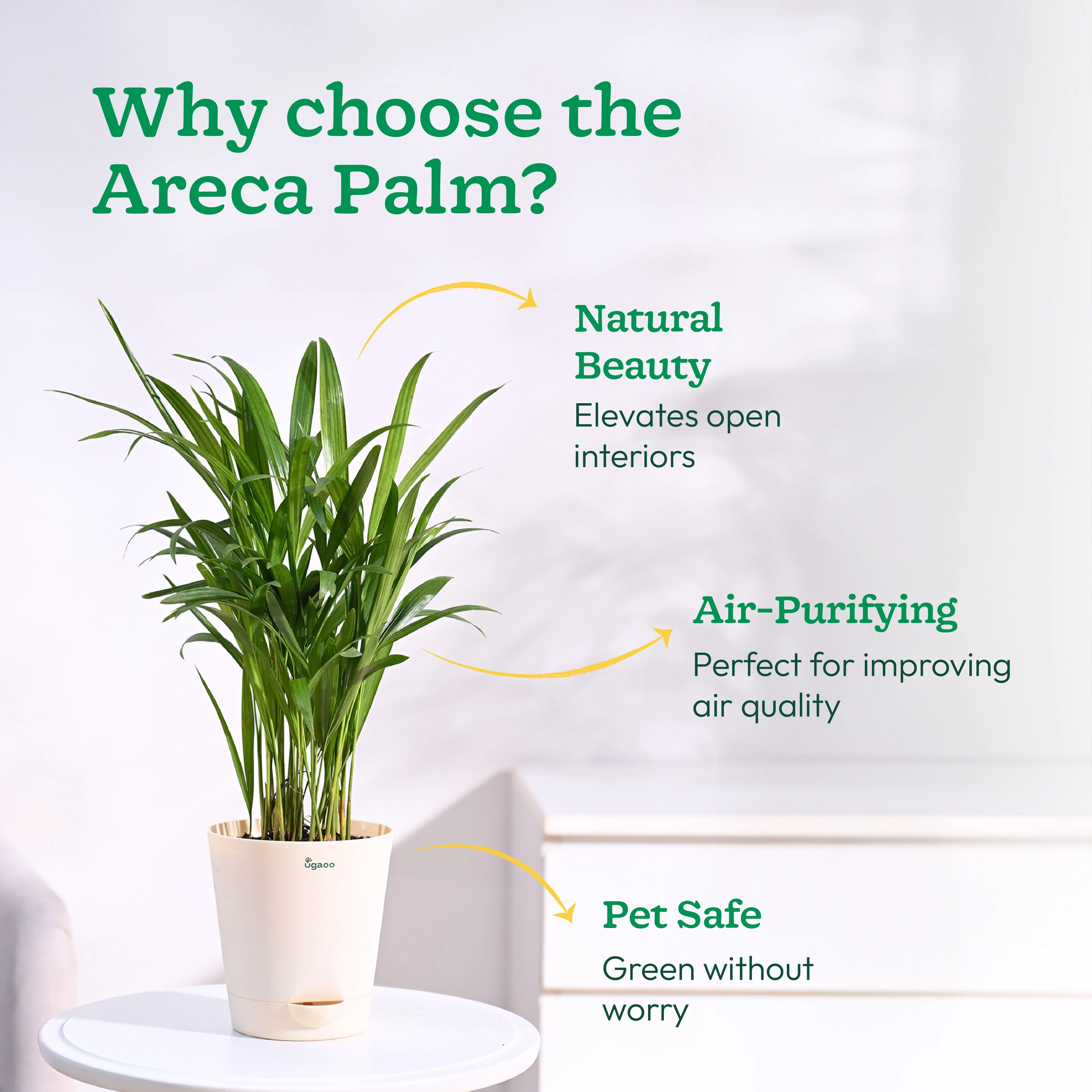Product image 96