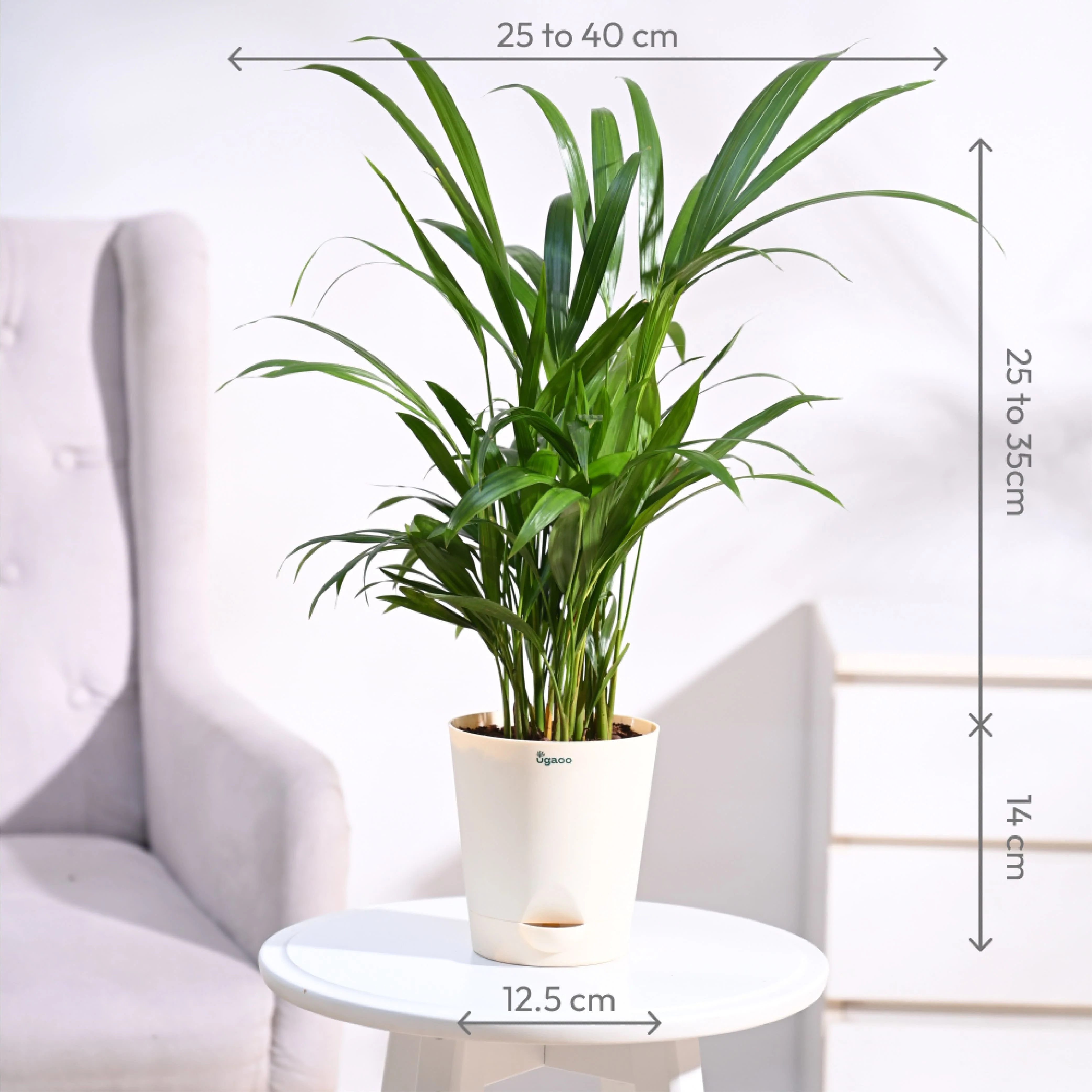 Product image 98