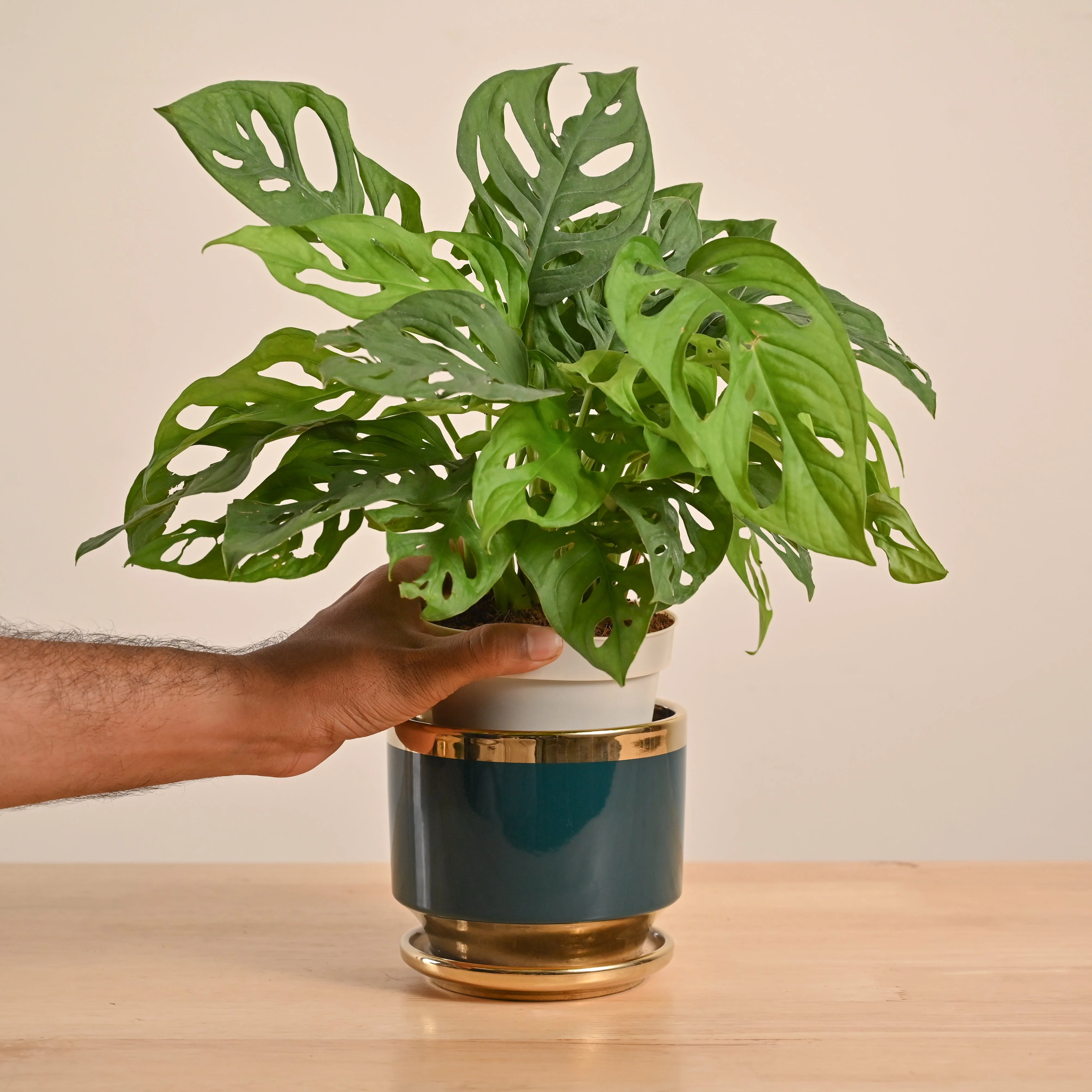 Product image 73