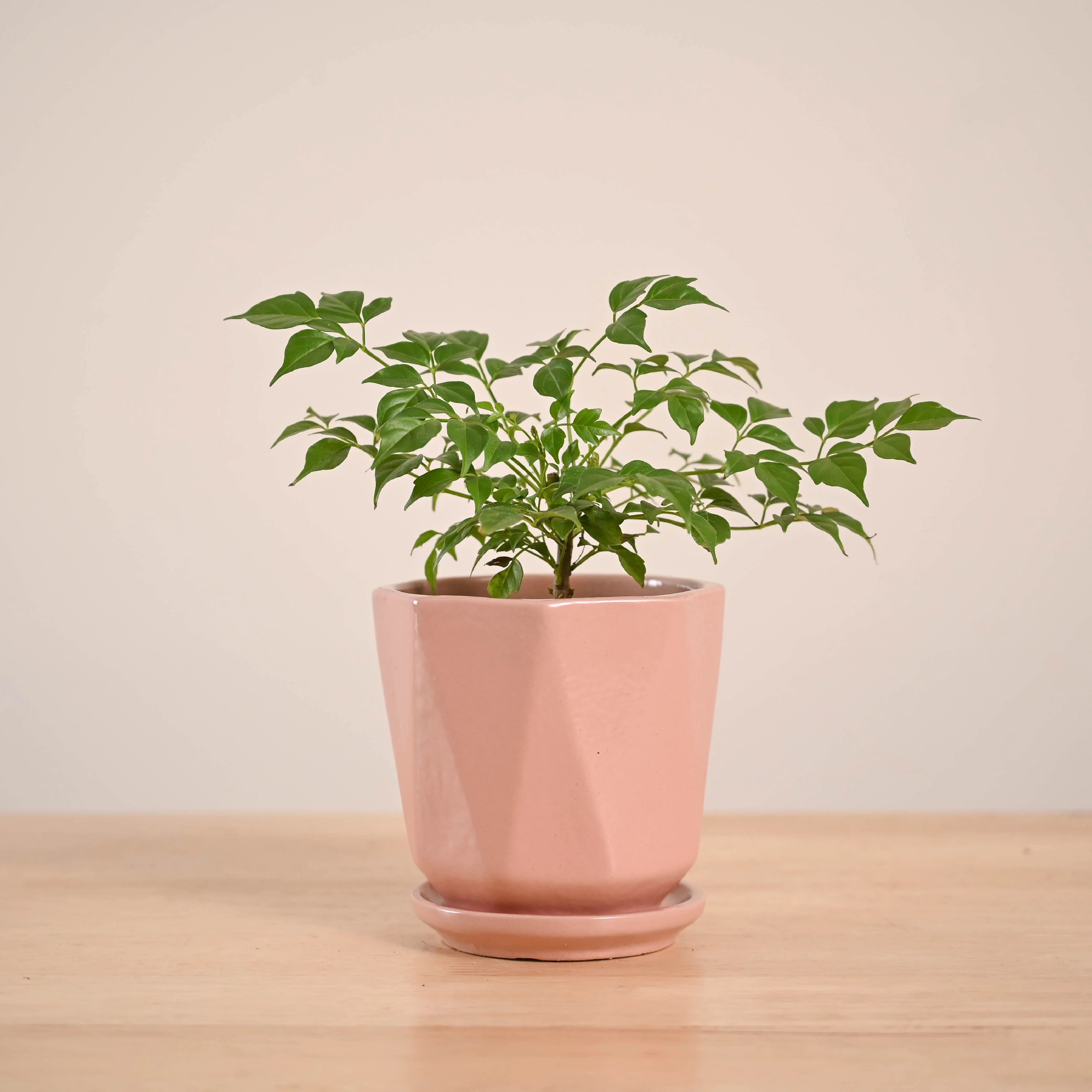 Product image 92
