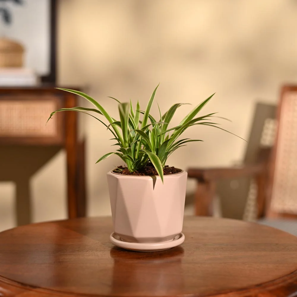 Product image 92