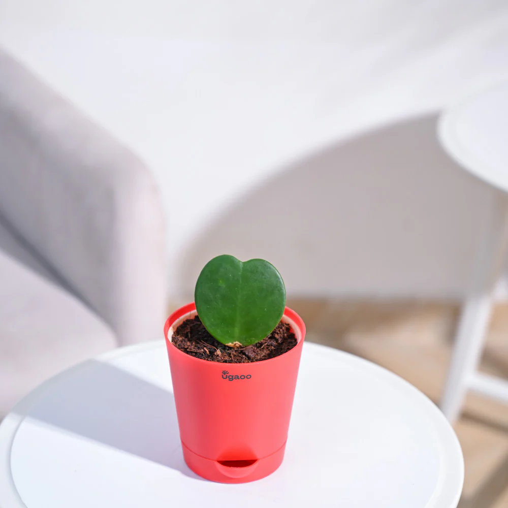 Product image 103
