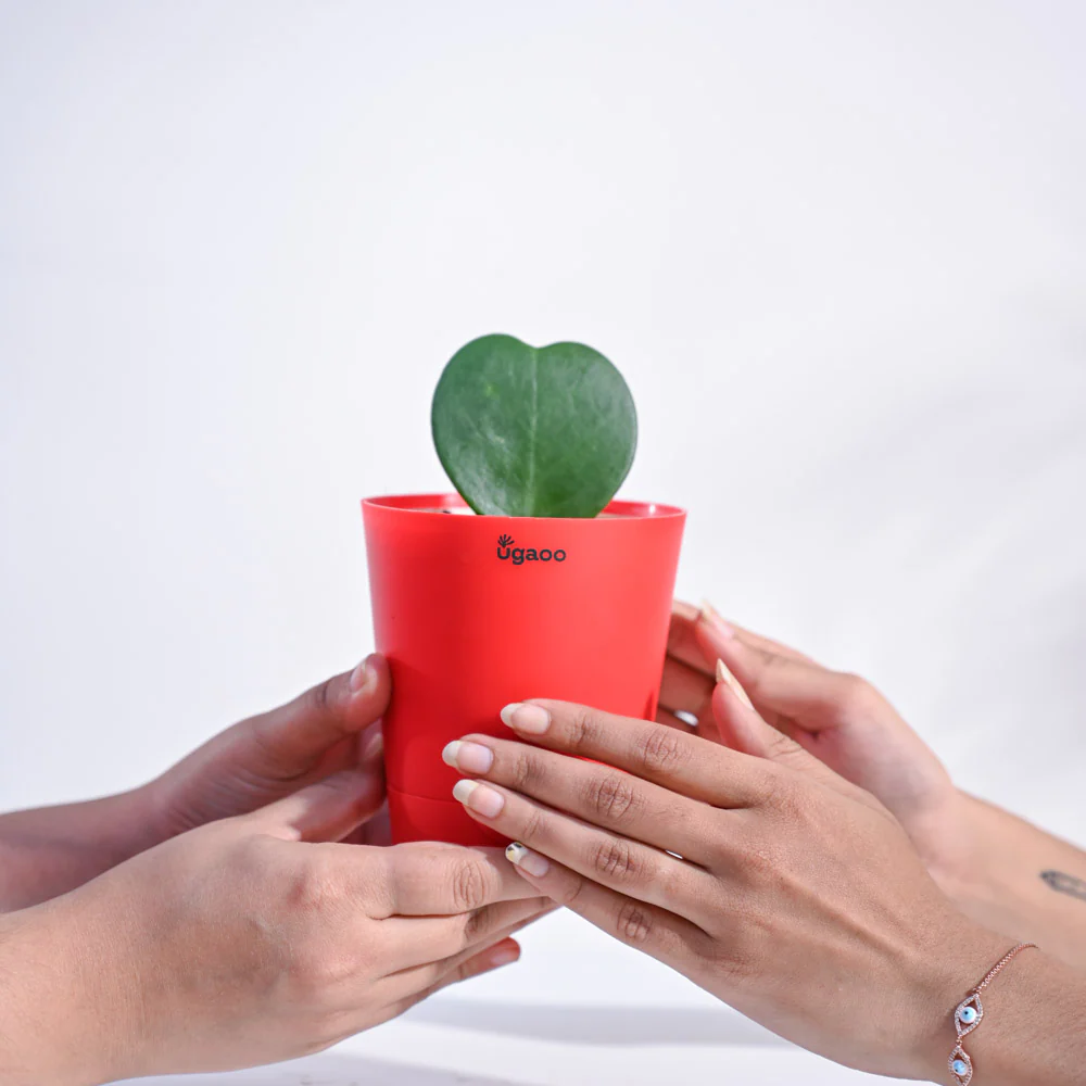 Product image 79