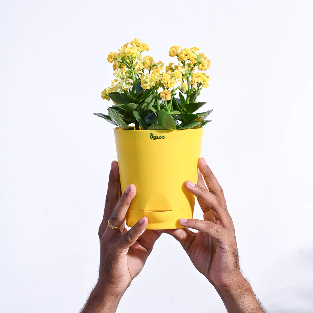Product image 104