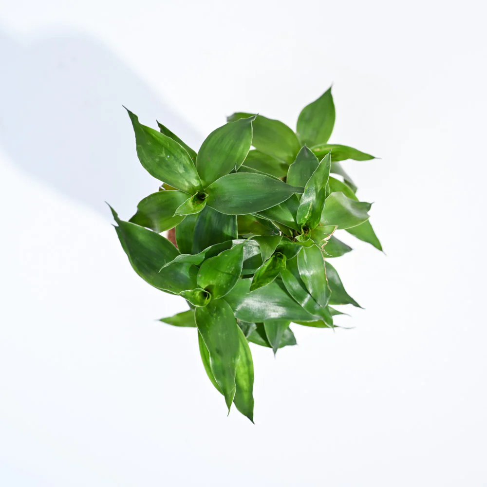 Product image 167