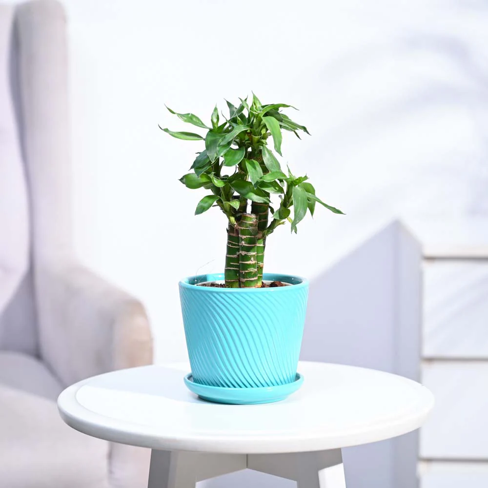 Product image 183