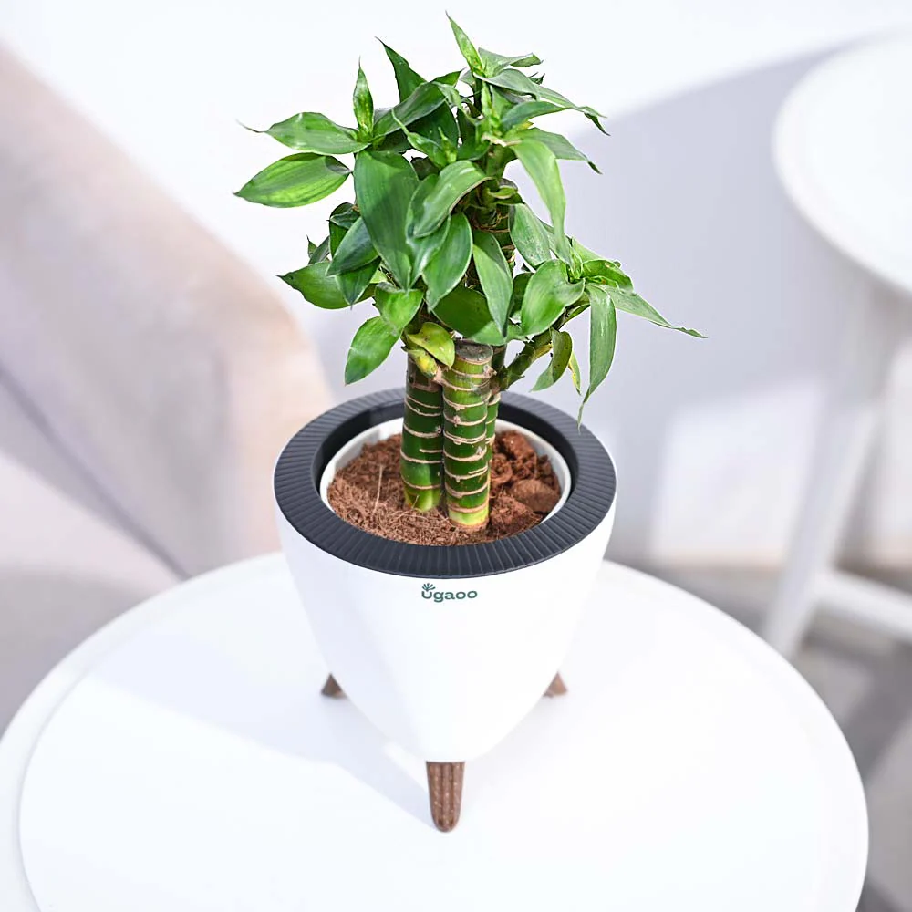 Product image 207