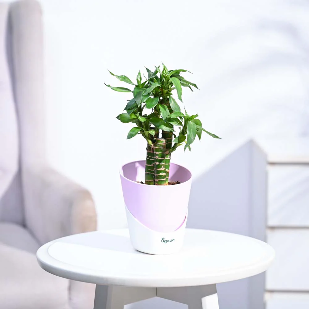 Product image 85