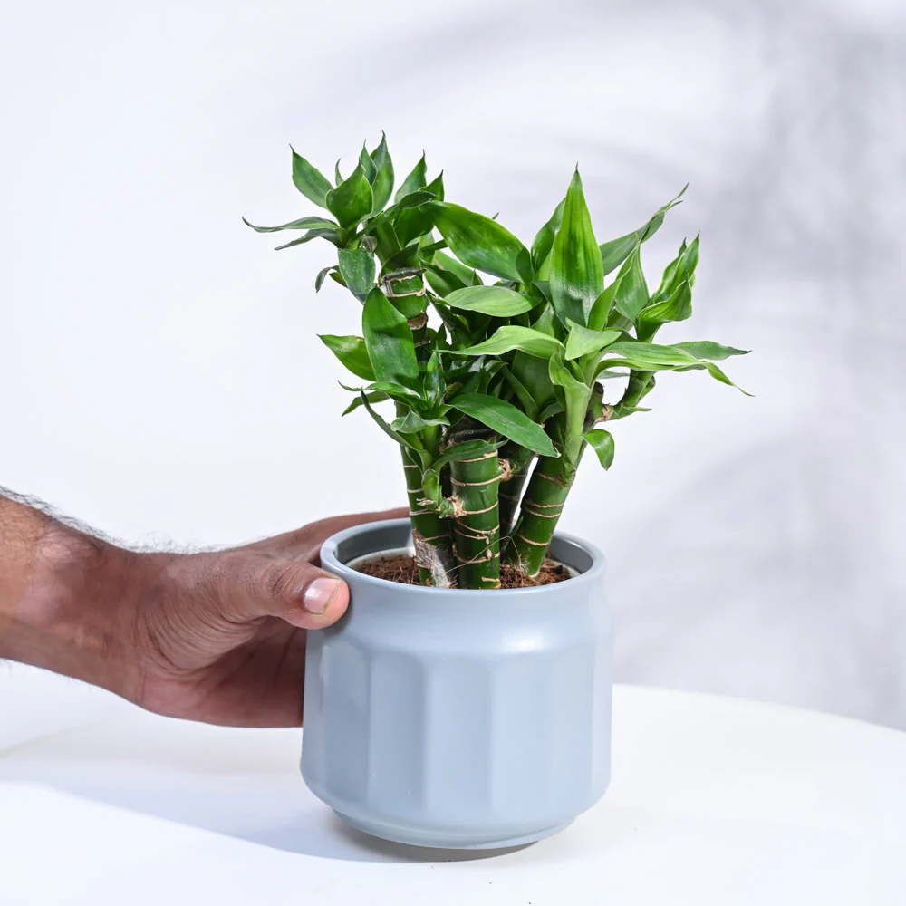 Product image 128