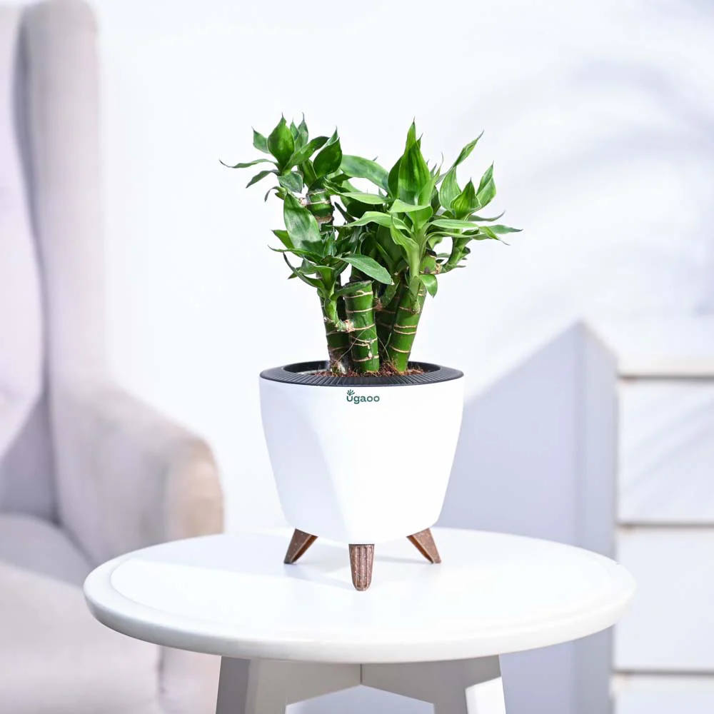 Product image 92