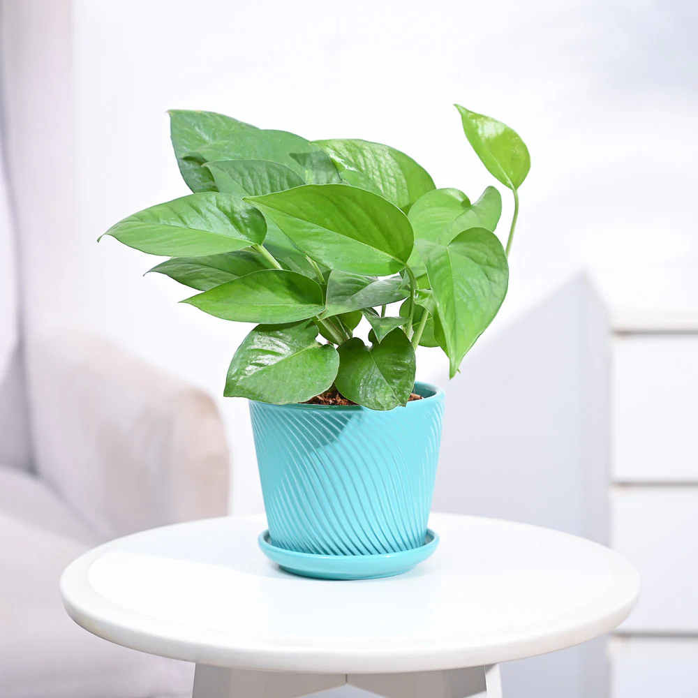 Product image 103
