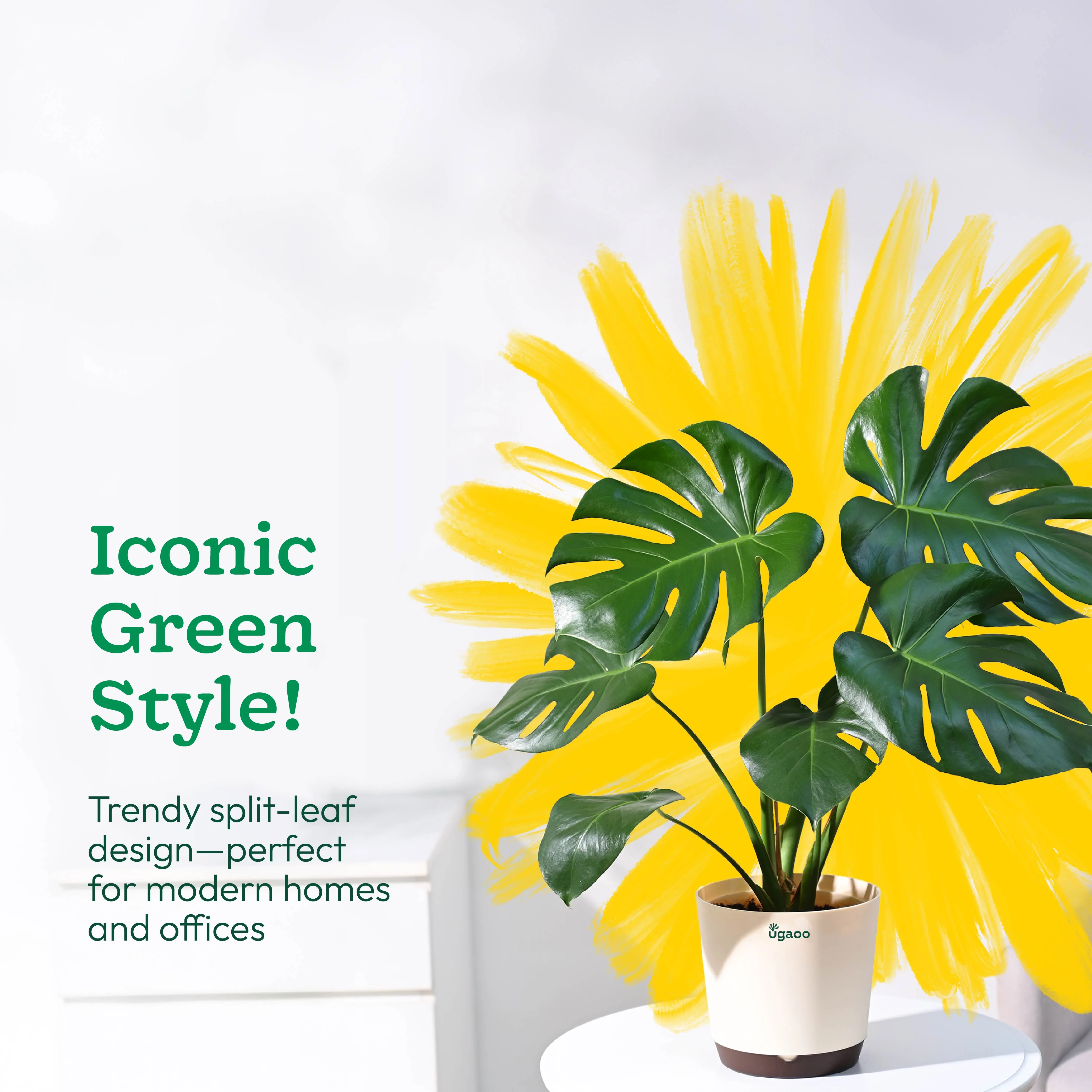 Product image 57