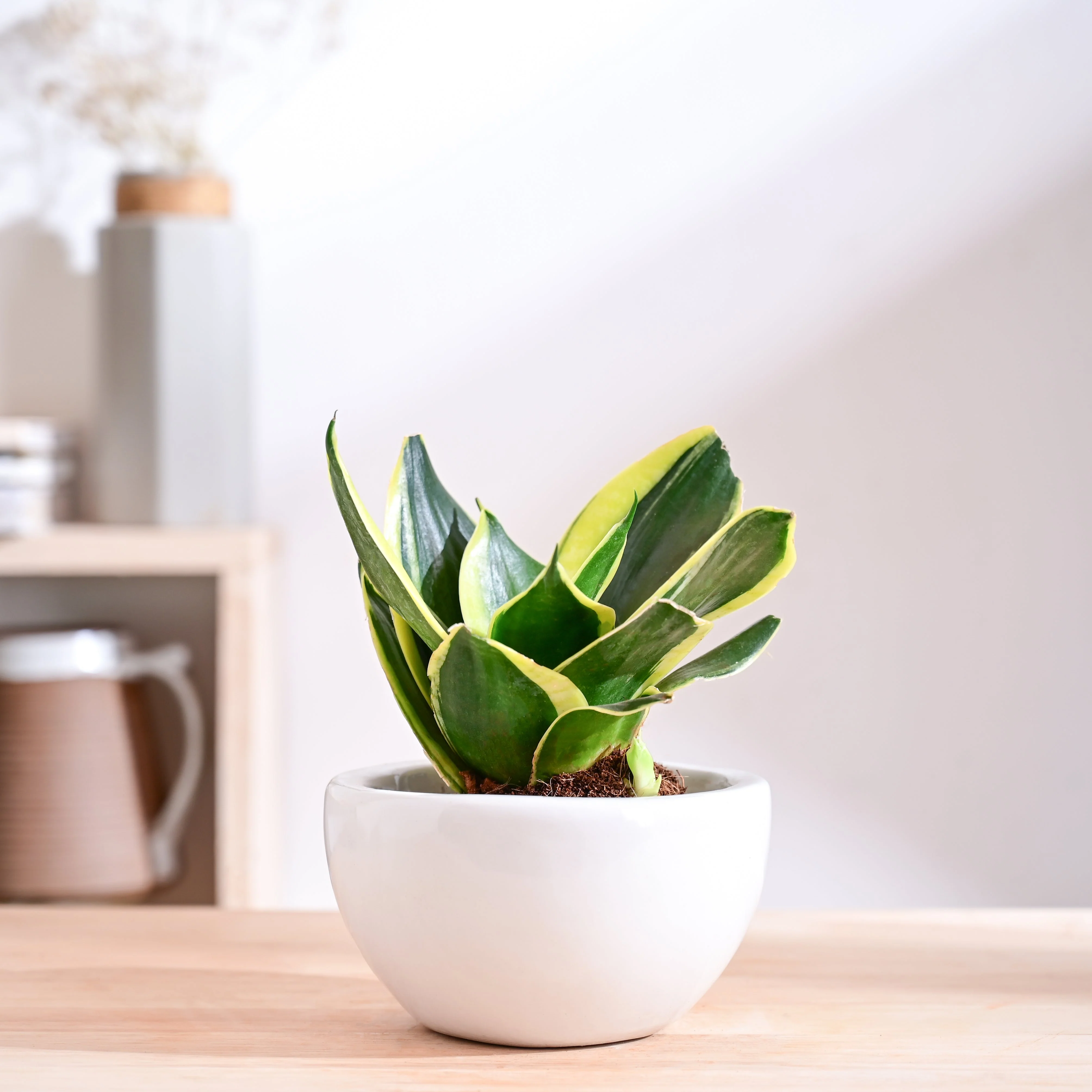 Product image 57