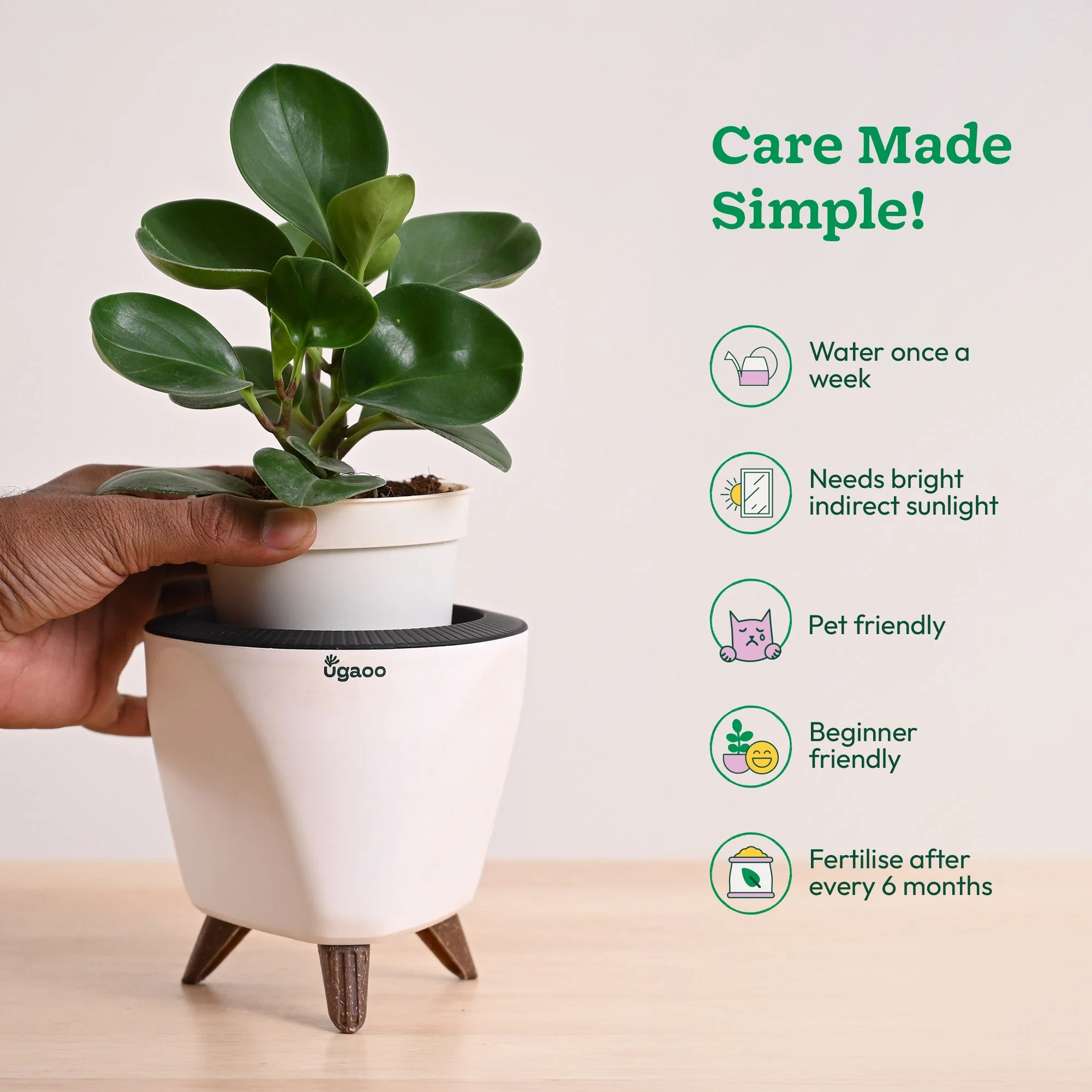 Product image 52