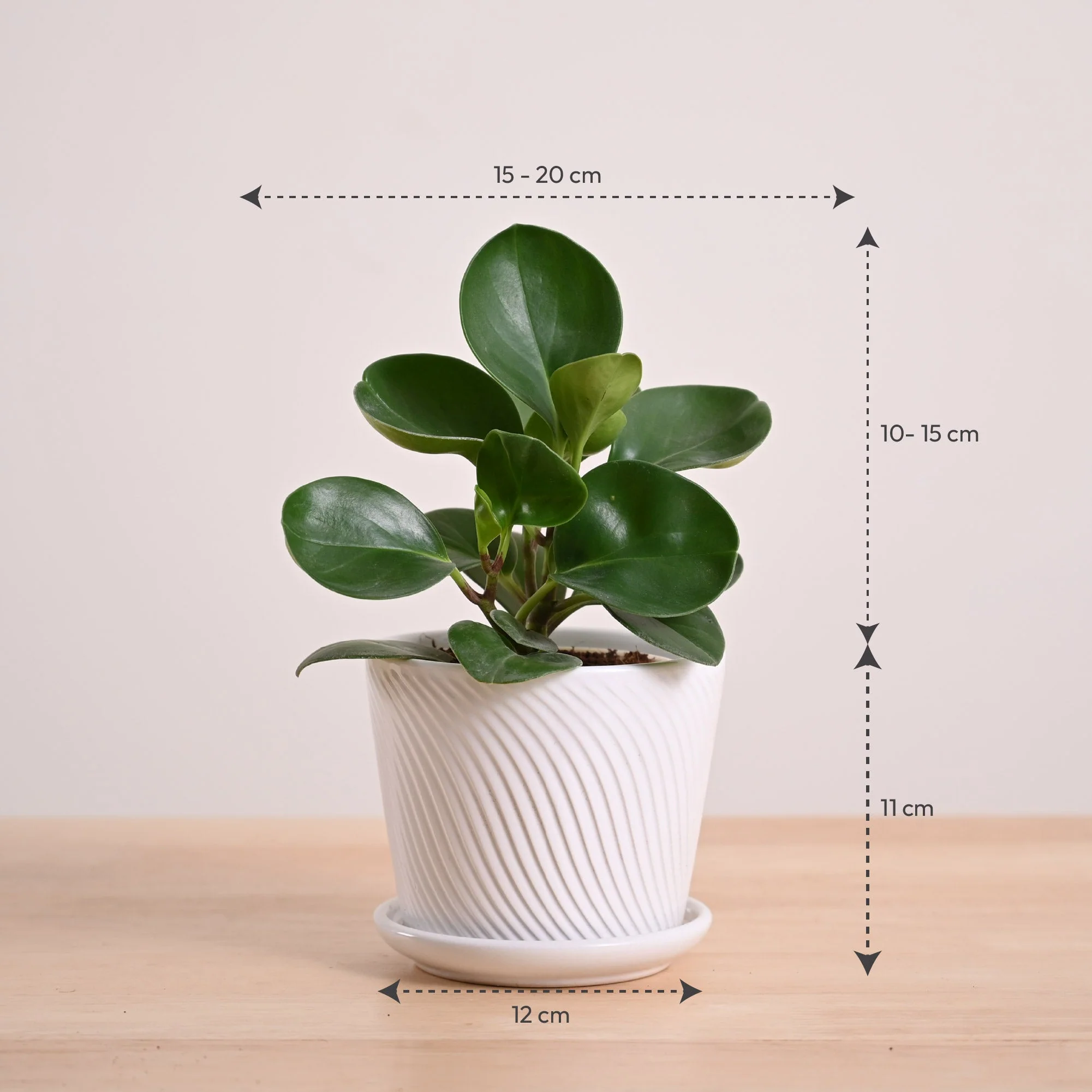 Product image 91