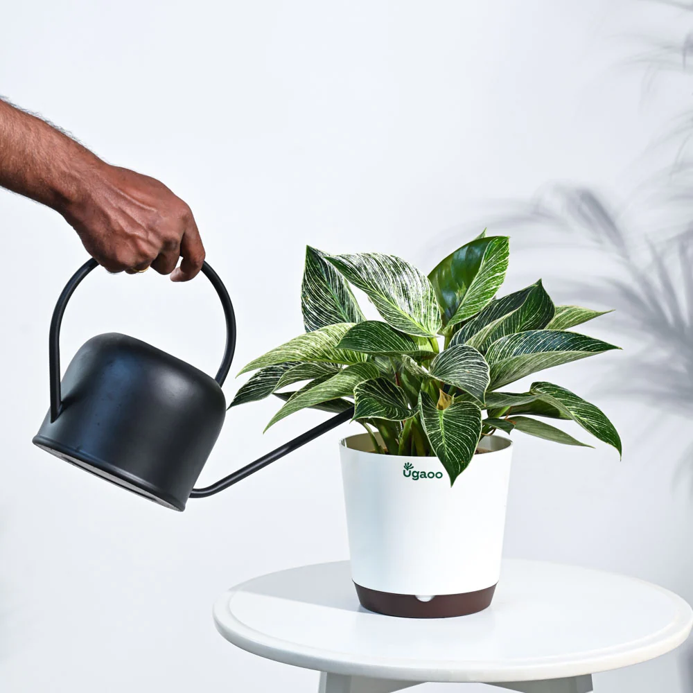 Product image 115