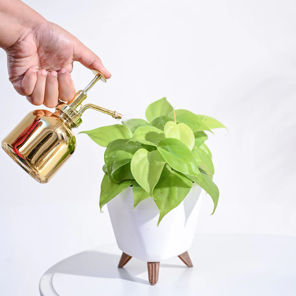 Product image 89