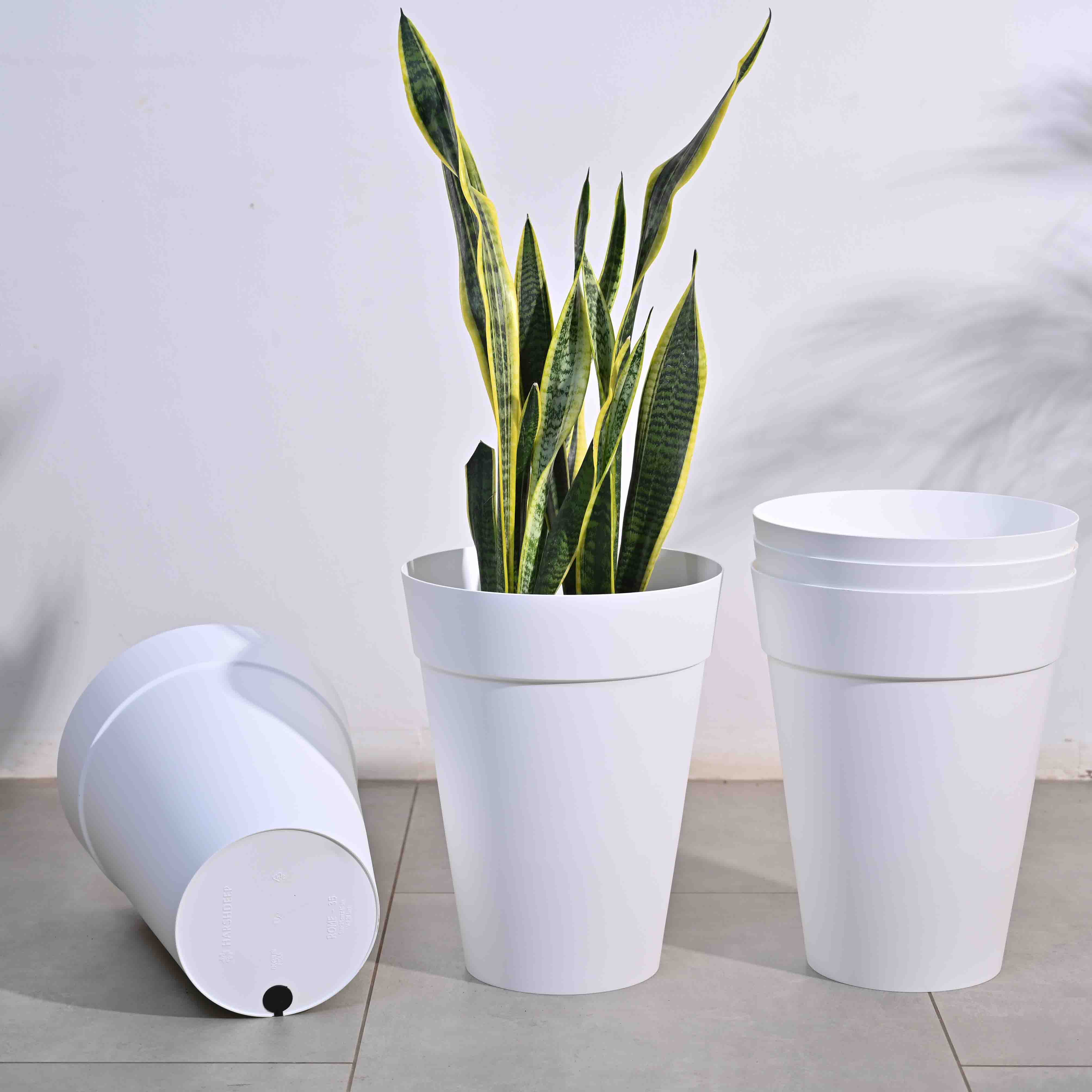Product image 145