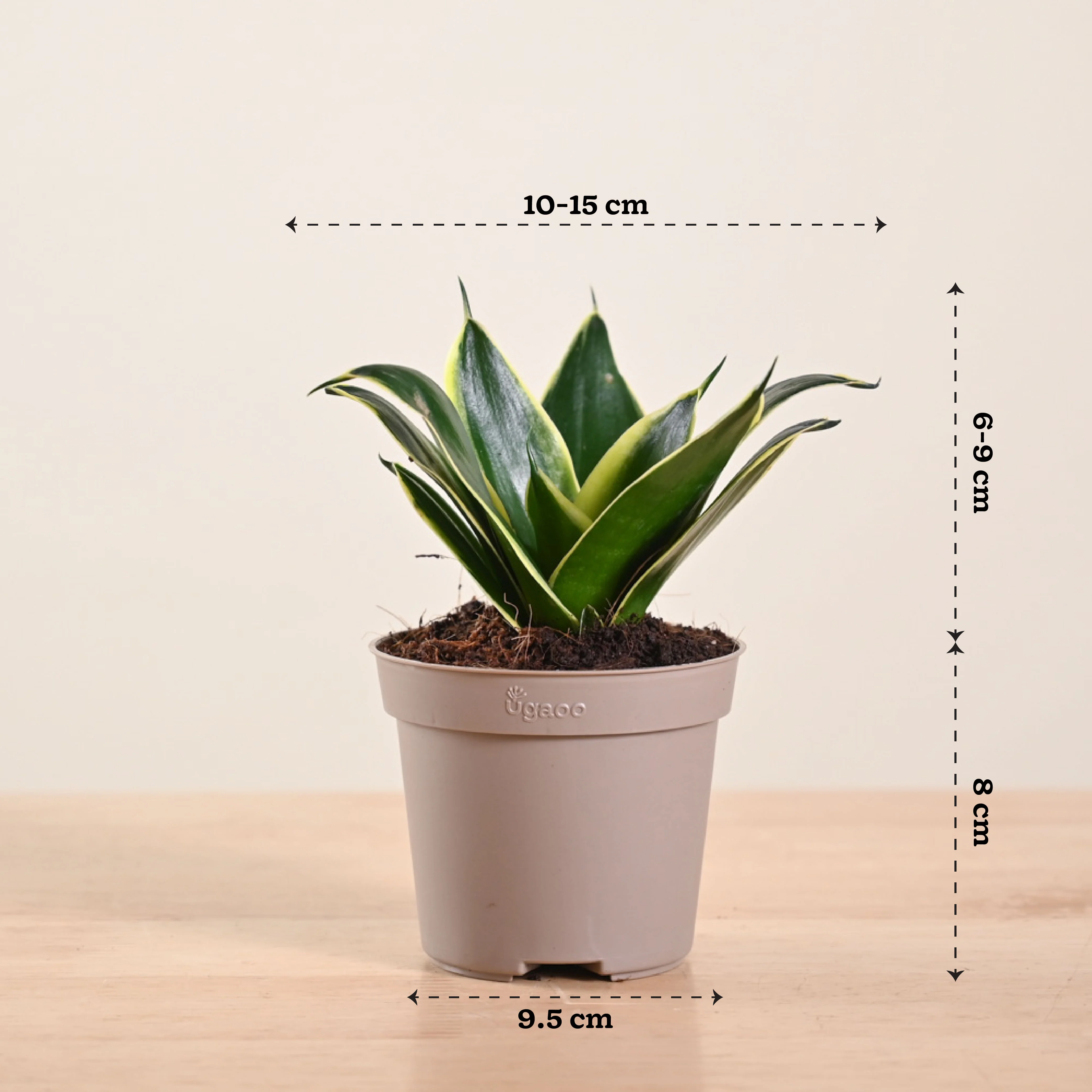 Product image 48