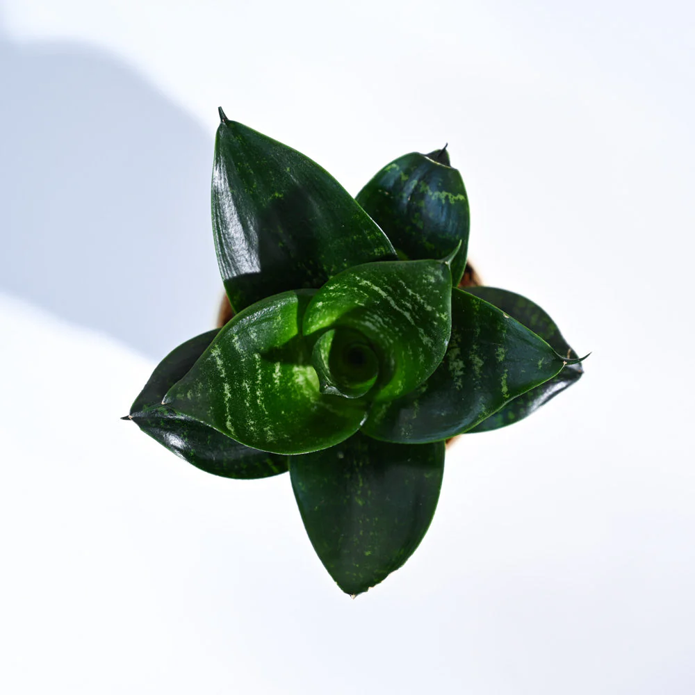 Product image 108