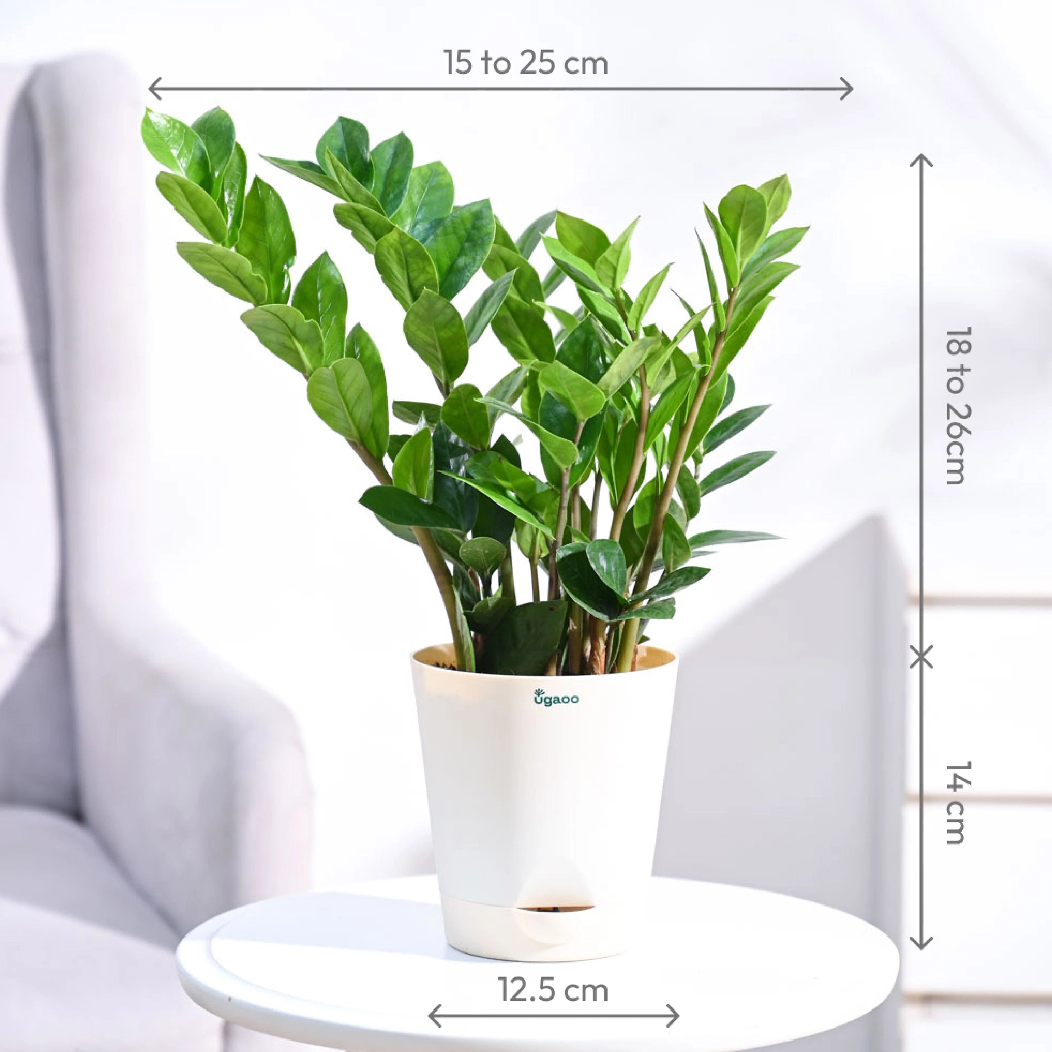 Product image 64