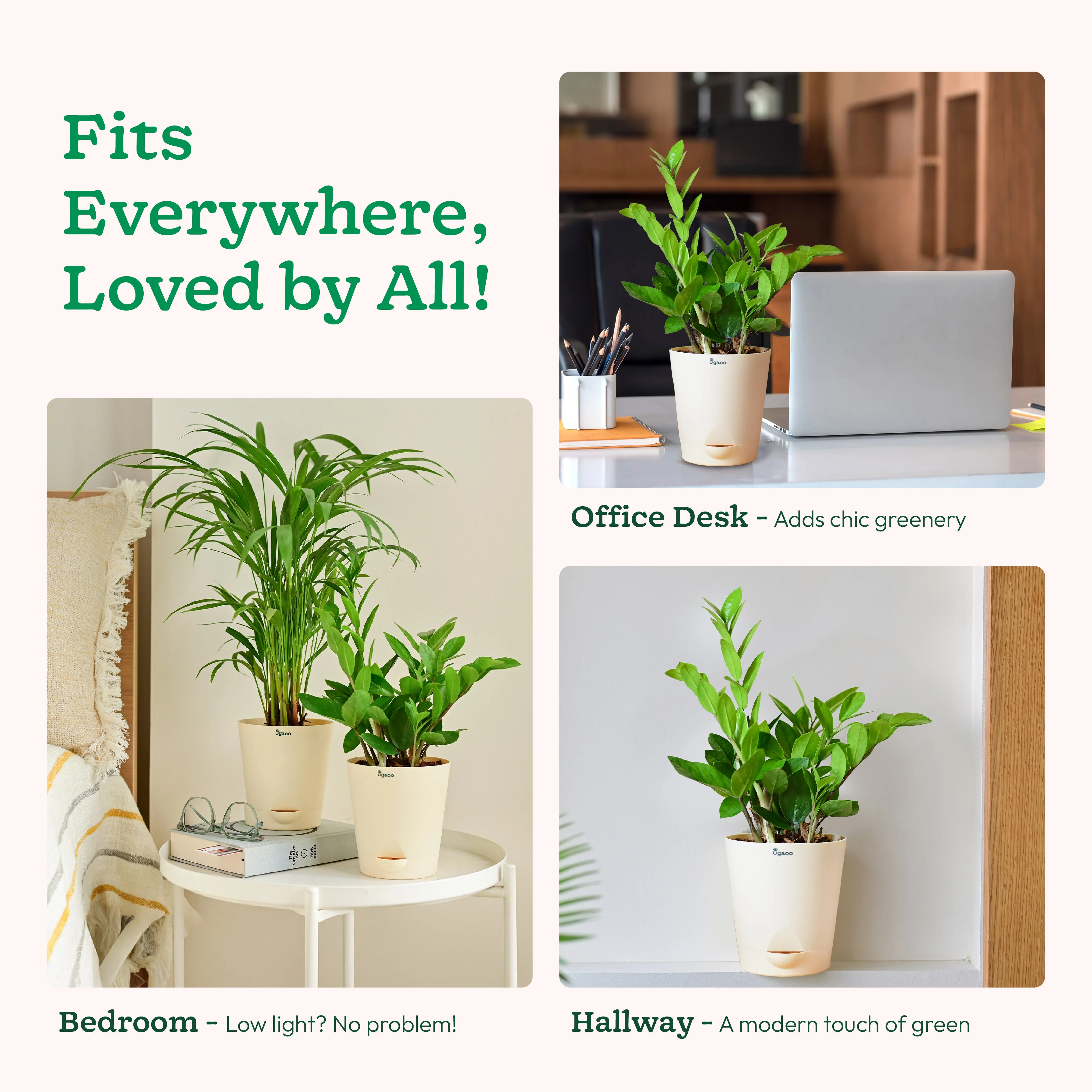 Product image 67